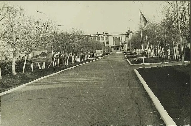 Центральная аллея (2)